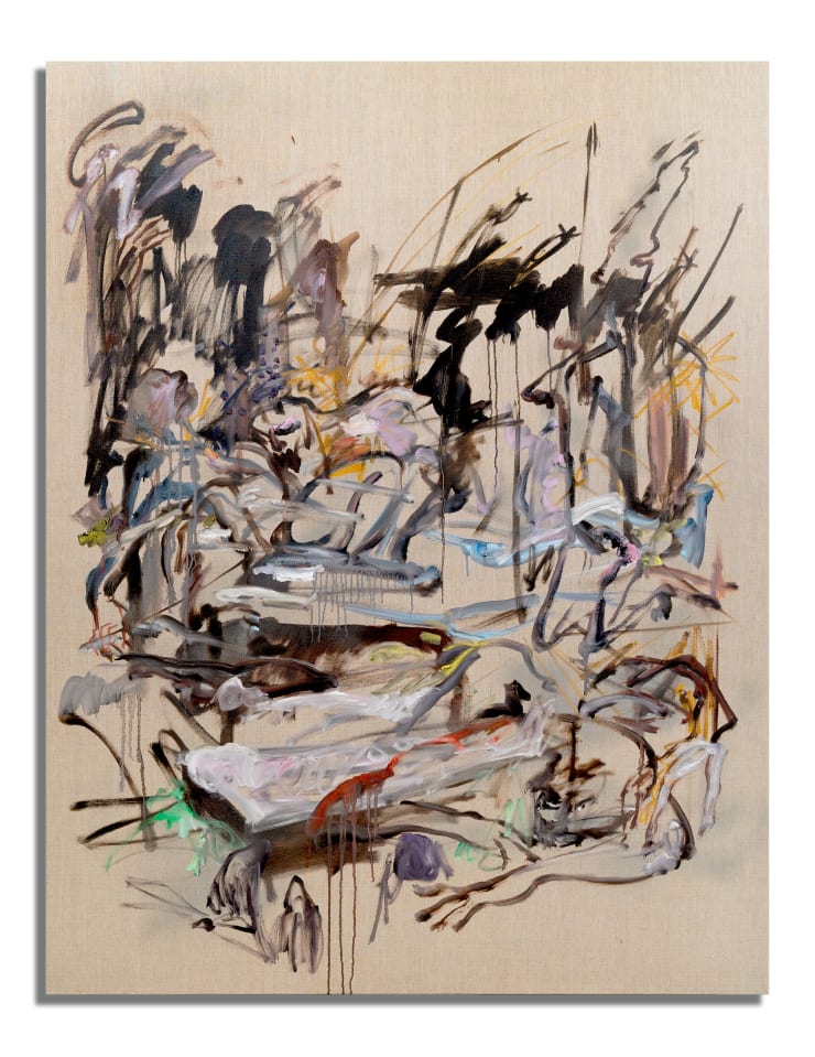 Wu Jiaru, spillovers_ ii, 2024