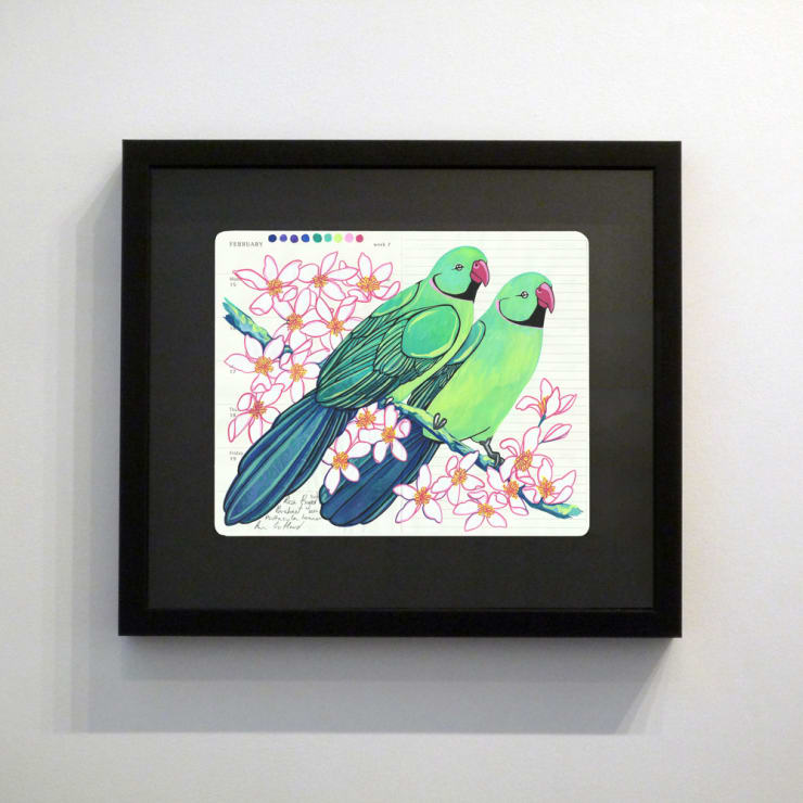 Fran Giffard, Rose Ringed Parakeets and Clematis