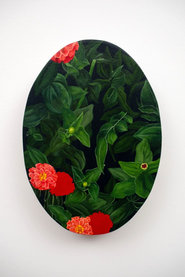 Charlotte Lloyd, Ignite