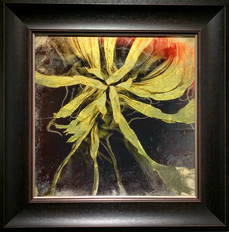 Valda Bailey, Starburst, 2017