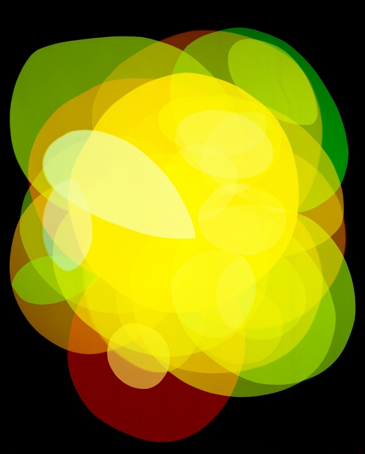 Niko Luoma, Self-titled Adaptation of 14 Sunflowers after Van Gogh (1888), 2016