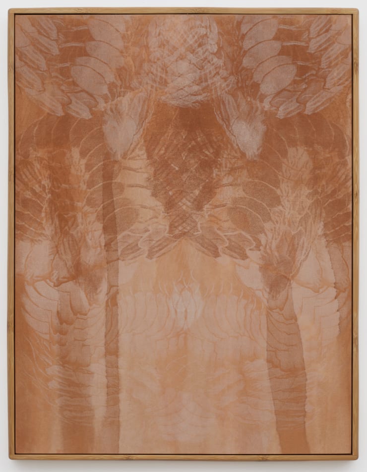 Ines Katamaso, Series Biolateral 2, 2025