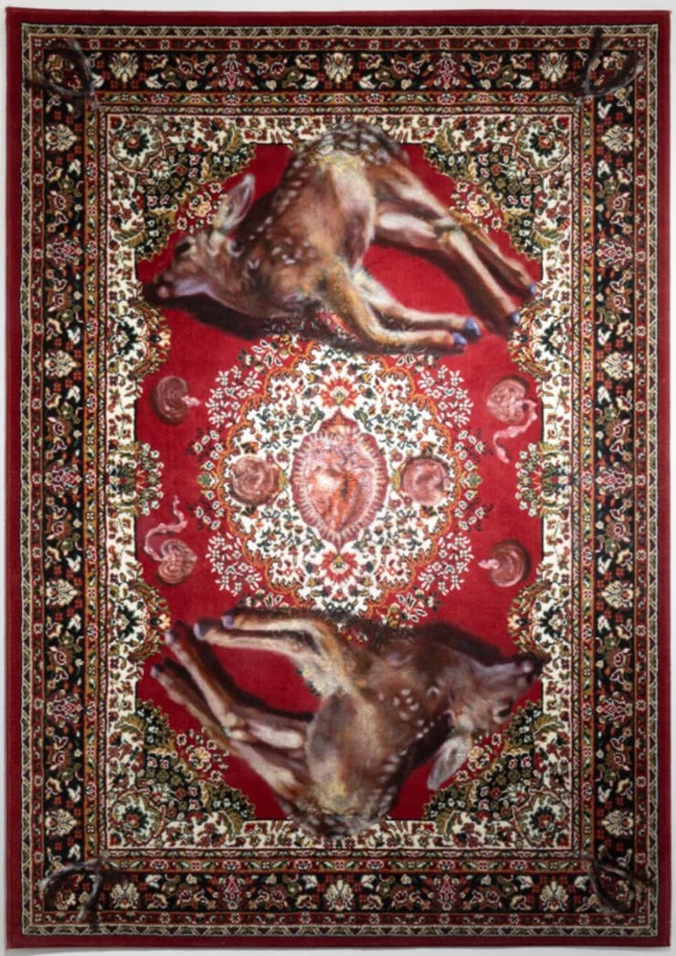 Grace McNerney, Fawning, 2024