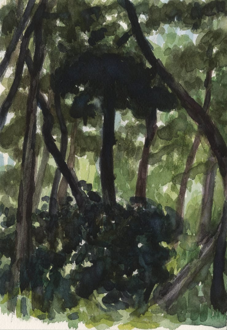 王俊 Wang Jun, 林中写生系列No.5 | Sketching in the Forest No.5, 2019.04.11