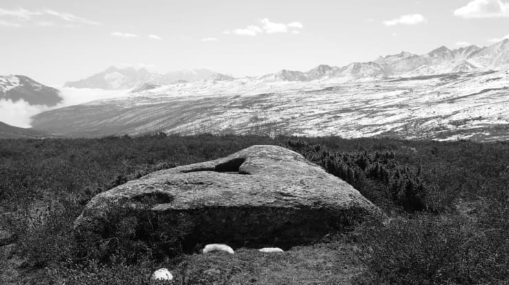 陈萧伊 Chen Xiaoyi, 墨尔基阿德斯的咒语 Melquíades' Incantation, 2021