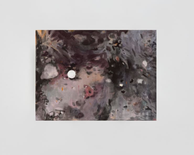 谢天卓 Xie Tianzhuo, 硬土 Pan Soil, 2018