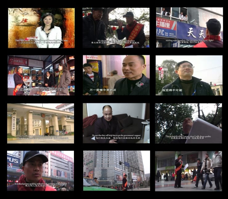 陈秋林 Chen Qiulin, 关于徐昭华的梦想 The Dream of Xu Zhaohua, 2008