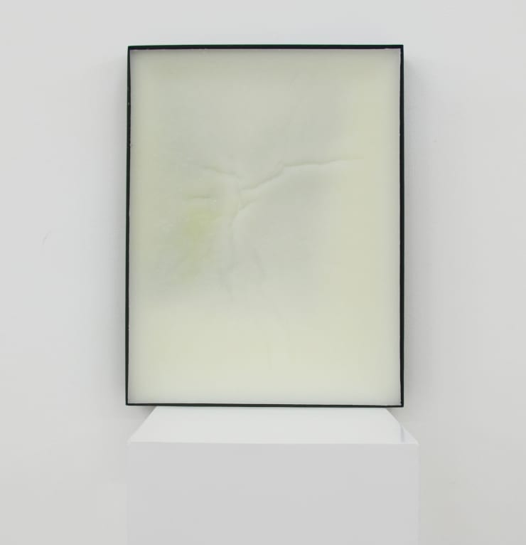 冯冰伊 Feng Bingyi, 我们的帽子里还有冰 There is still ice in our caps, 2016