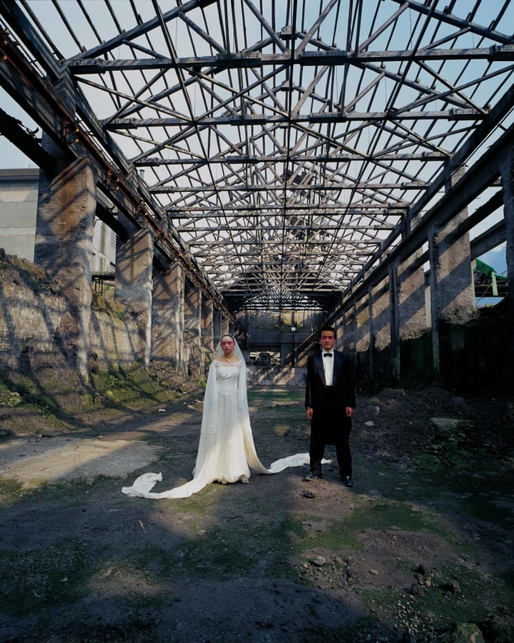 陈秋林 Chen Qiulin, 桃花 Peach Blossom, 2009