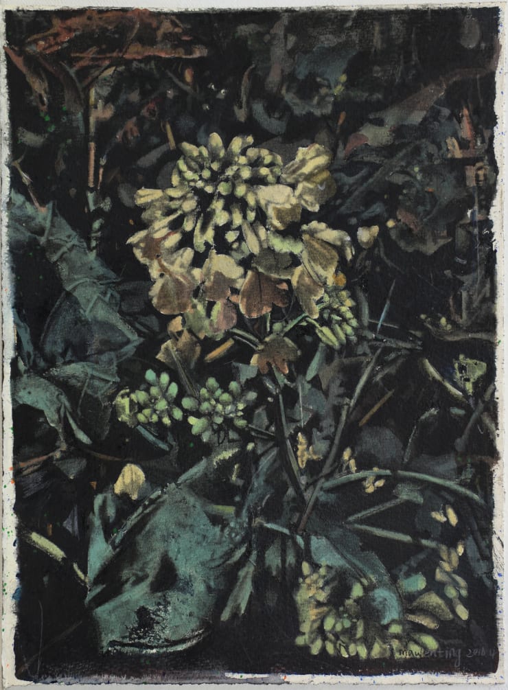 马文婷 Ma Wenting, 植物之二 Plant No.2 , 2016