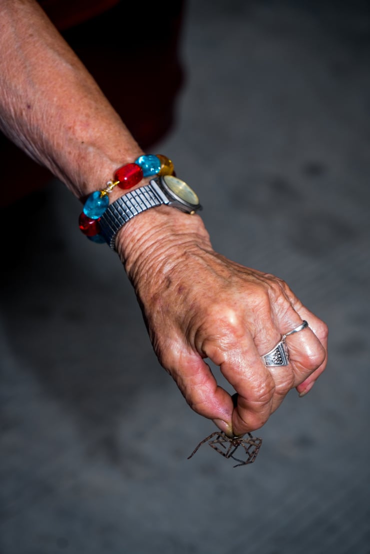冯立 Feng Li, 蜘蛛和手 | Spider and hand, 2017