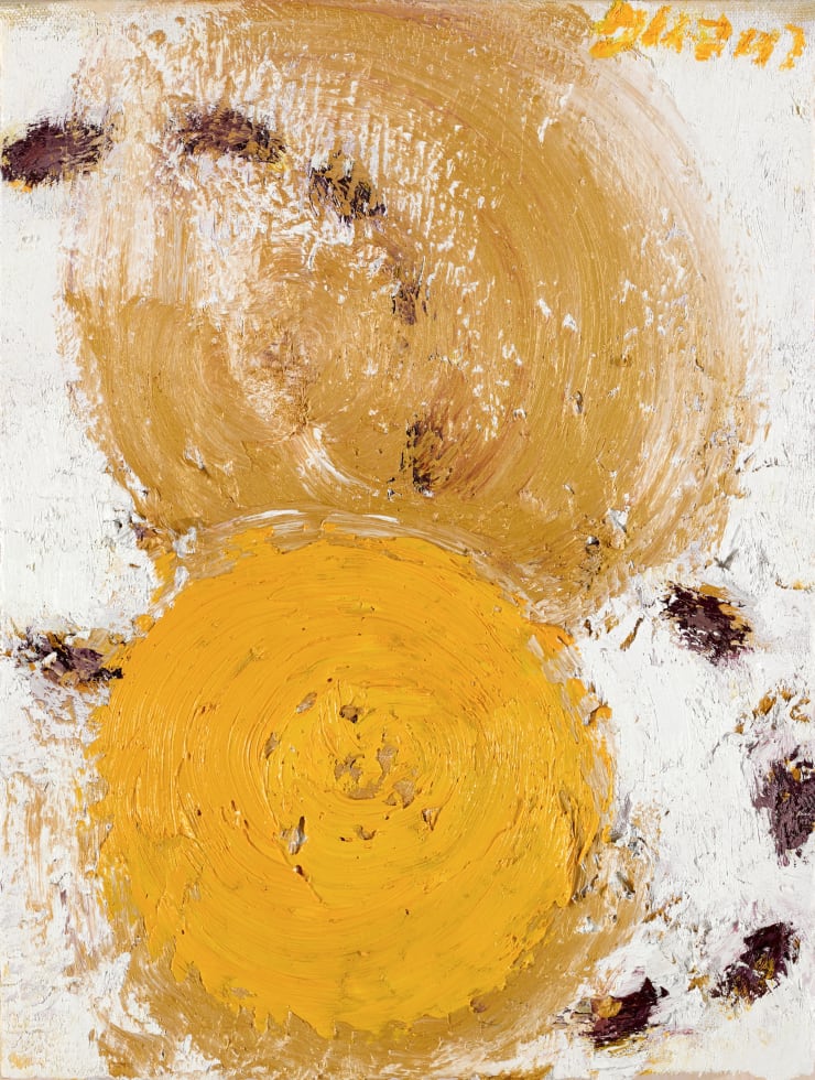 王俊 Wang Jun, 2017