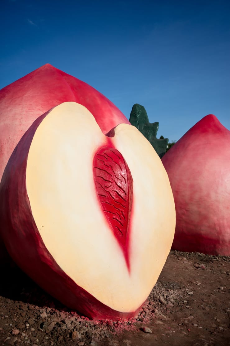 冯立 Feng Li, 桃 | Peach, 2017