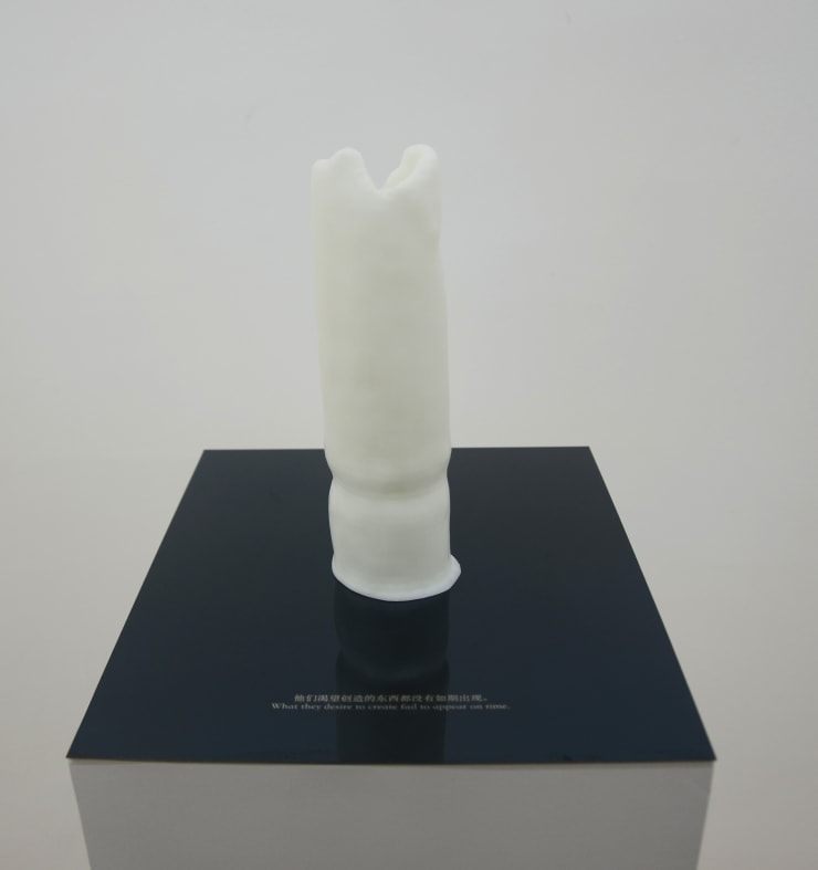 冯冰伊 Feng Bingyi, 时间切片博物馆 Time Slice Museum , 2016