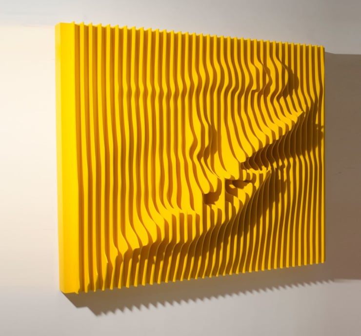 Tohfe, 2013 Mixed Media On Wooden Board 120 x 150 x 30 cm