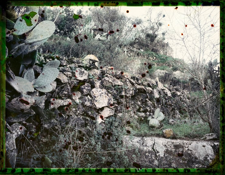 Untitled 3 from For You Mother II series