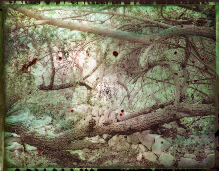 Untitled 11 from For You Mother II series