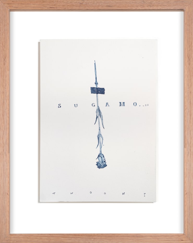 Study of Wild Flowers Of Sugamo