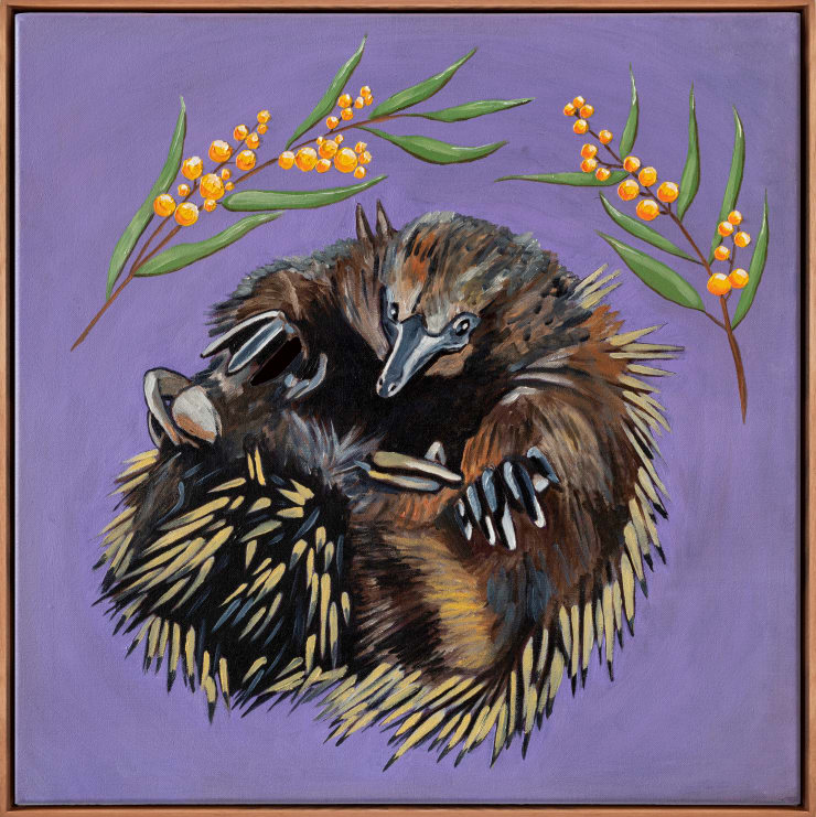 Echidna - I am a snack and I want a snack