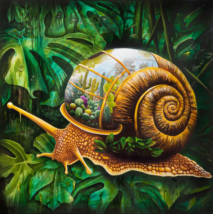 Snail Cactai Terrarium