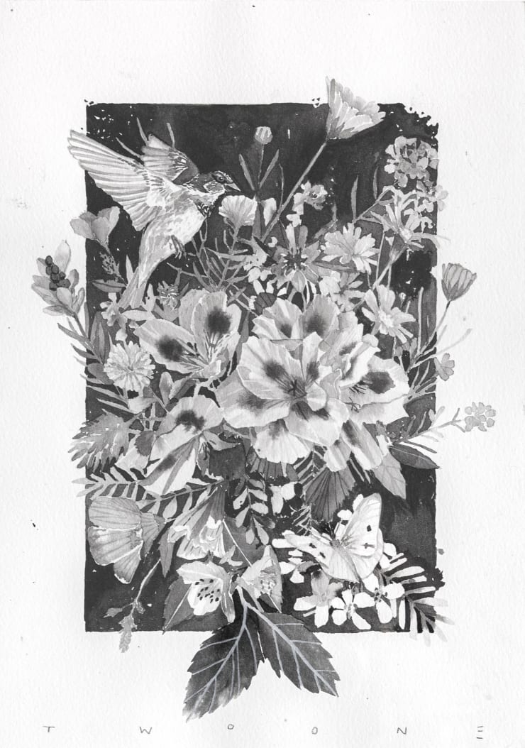 Wild Flora of Civitacampomarano