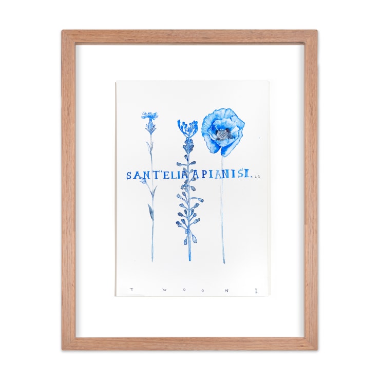 Hiroyasu Tsuri Study of Wild Flowers of Sant’elia A Pianisi, 2023 Watercolor on 300gsm Archival Paper 29 x 20.5 cm (unframed) 44 x 36 x 4.5 cm (framed)