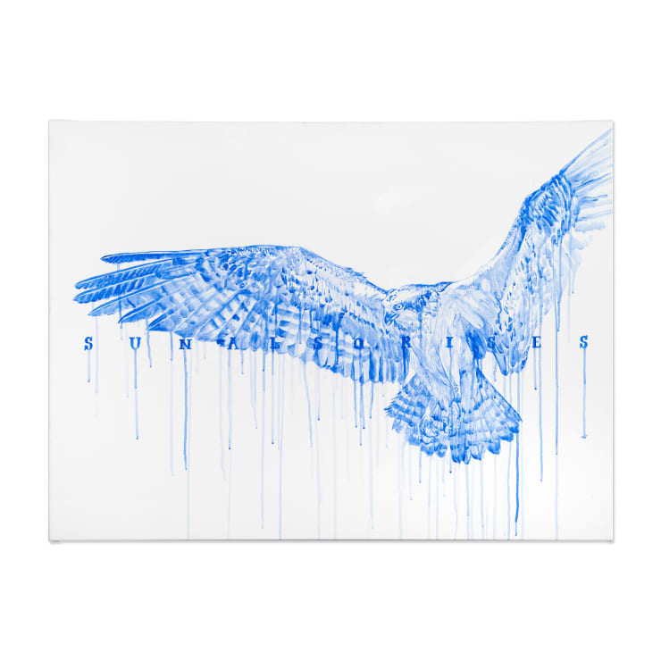 Hiroyasu Tsuri Sun Also Rises (Falco), 2023 Acrylic on Cotton Canvas 81 x 108.7 x 3 cm