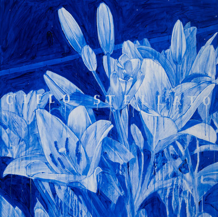 Cielo Stellato (Starry Night)