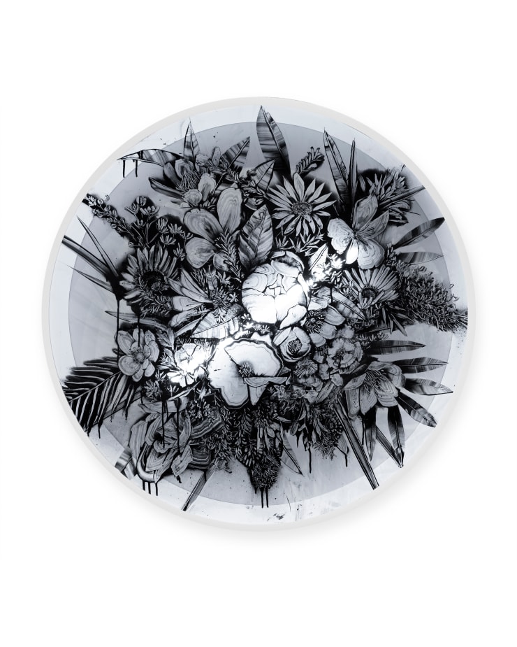 Hiroyasu Tsuri 1984 ~ PresentWild Flora of the World, 2025 Hand-etched signature on front Aerosol on perspex framed in black timber box frame with LED tube light 103 × 103 × 12 cm (framed) 100 × 100 × 0.3 cm (unframed)