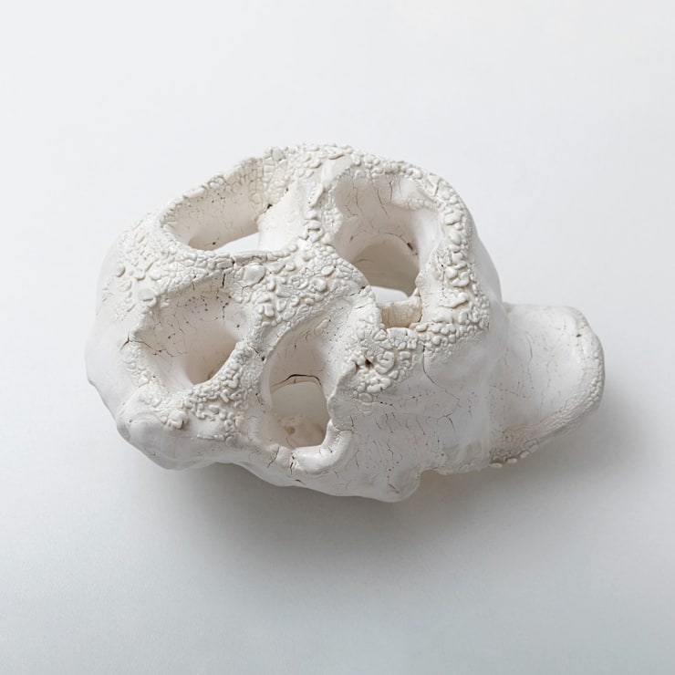 Lenora de Barros, Máscara de Mão 5, 2017