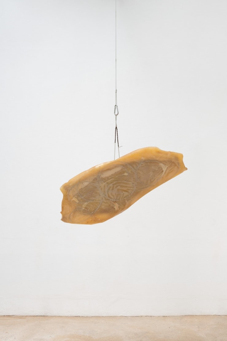 José Resende, Sem título / Untitled, 2010