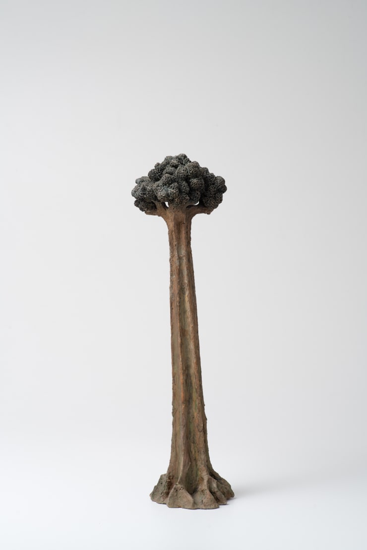 Megumi Yuasa, Árvore [Tree], 1980