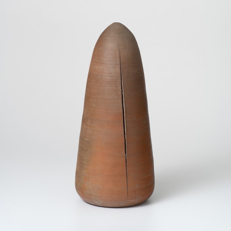 Shoko Suzuki, Vaso, 1983