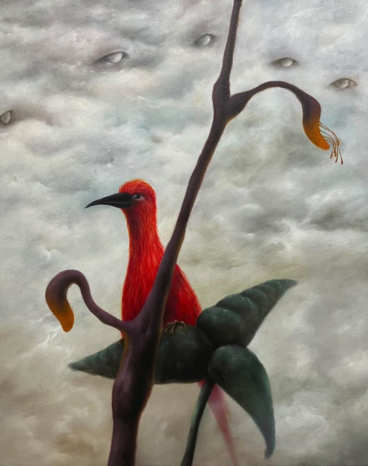 Arang Choi, Scarlet Ibis, 2024