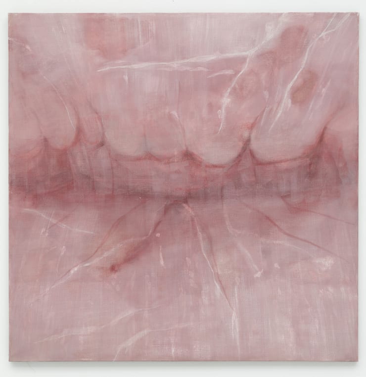 Josef Žáček, Image 1, 2019