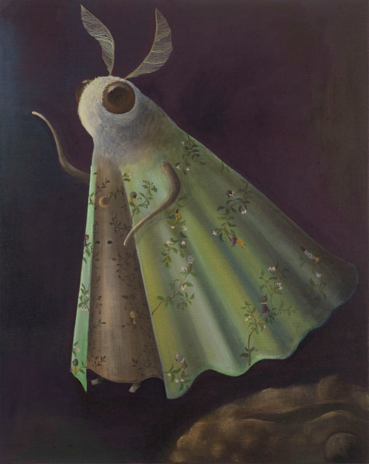 Sota Sakuma, Actias, 2024