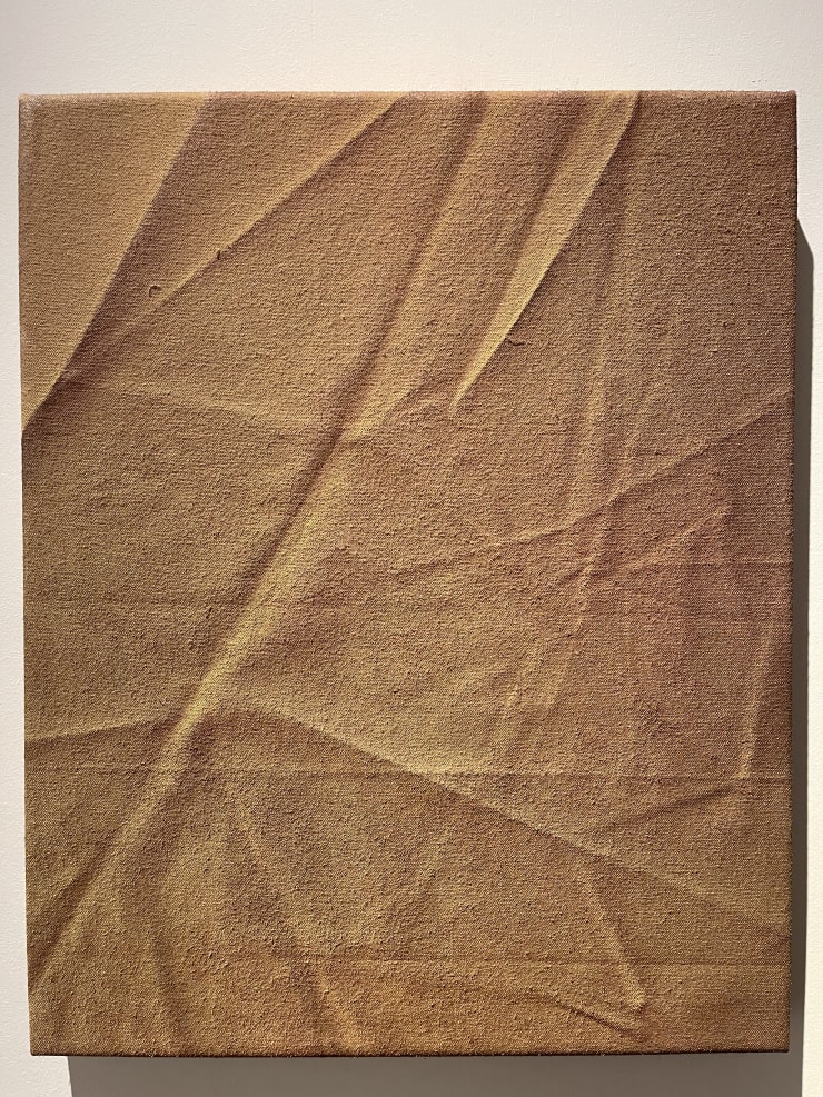 Monika Žáková, Bez názvu/ Untitled (Rhisome B), 2020