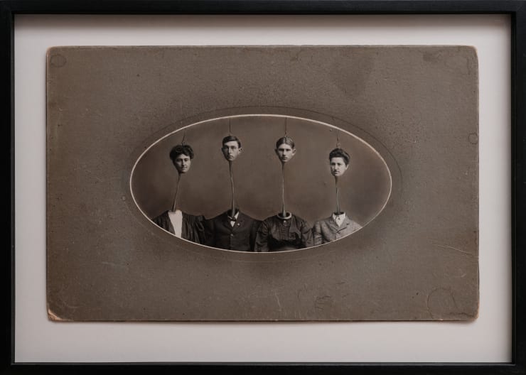 Jana Palečková, Hlavěnky, 2019