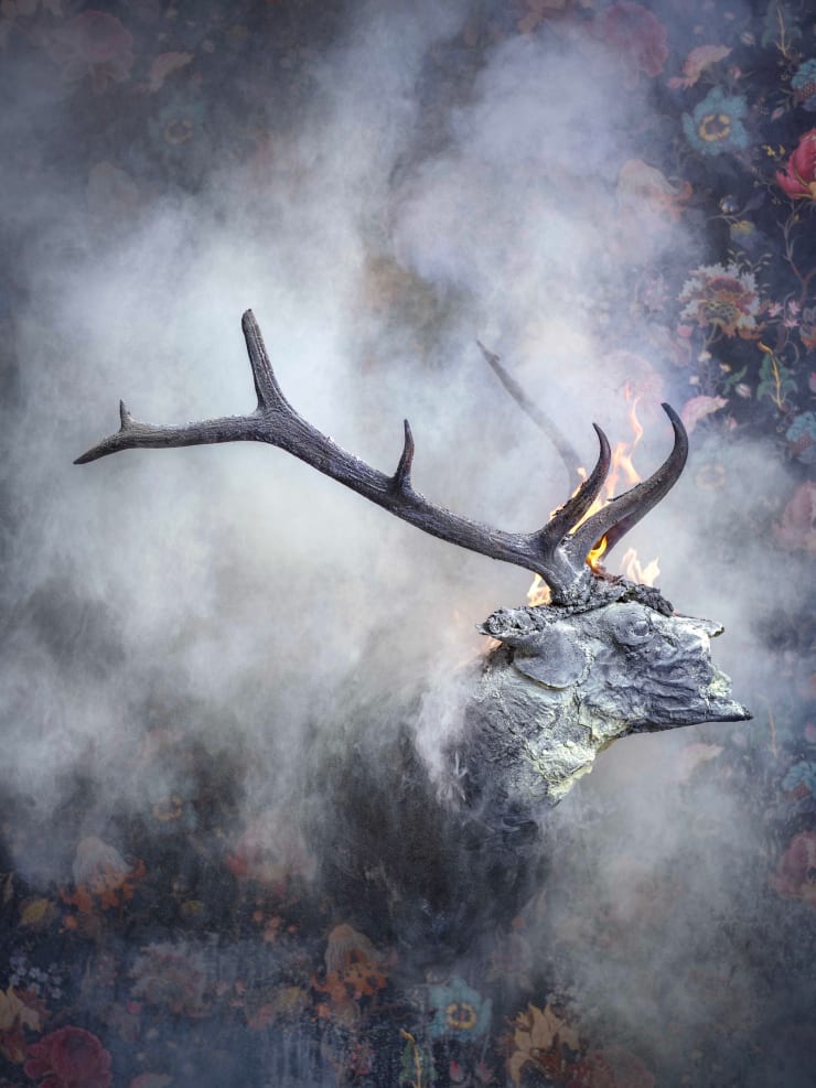 Christian Houge, Elk Burnt, 2018
