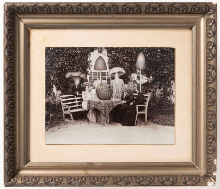 Jana Palečková, Invaze, 2022