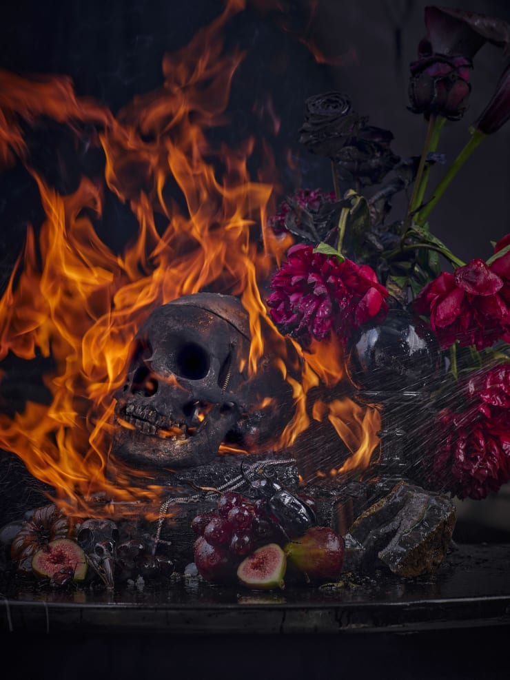 Christian Houge, Vanitas