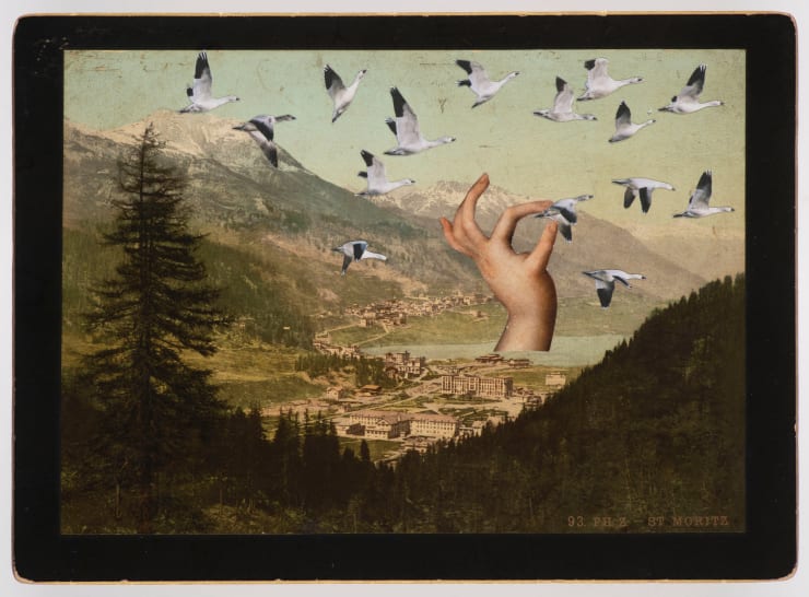 Erika Bader, Untitled, 2021