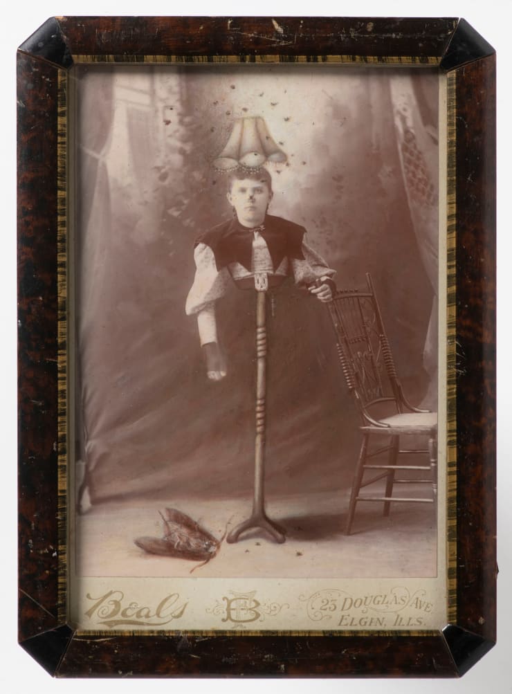 Jana Palečková, Rozsvítilo se mu, 2022