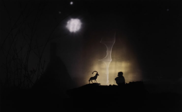 Leona Telínova, Krásná noc, 2021