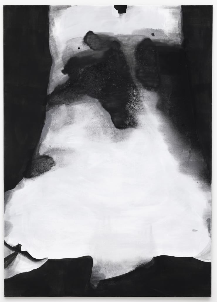 Josef Žáček, Imitace 2 / Imitation 2, 2018