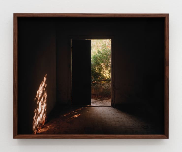 Mellem skygge og hjerte #1