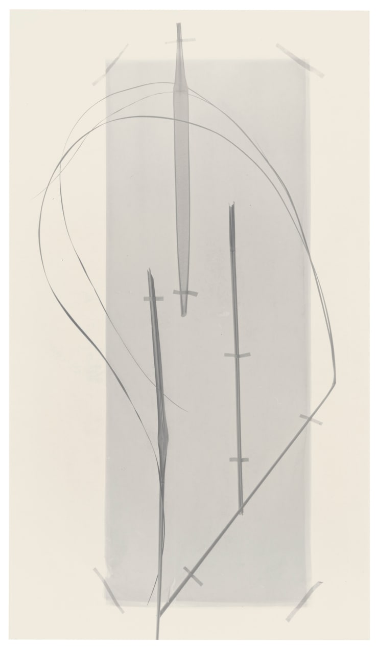 Landscape and still life 1980-2010