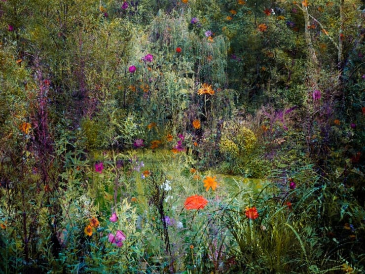 Helen Sear Powdermill Ponds II, 2020 Hahnemuhle Fine Art Pearl Paper 30 x 40 cms 11 12/16 x 15 11/16 ins