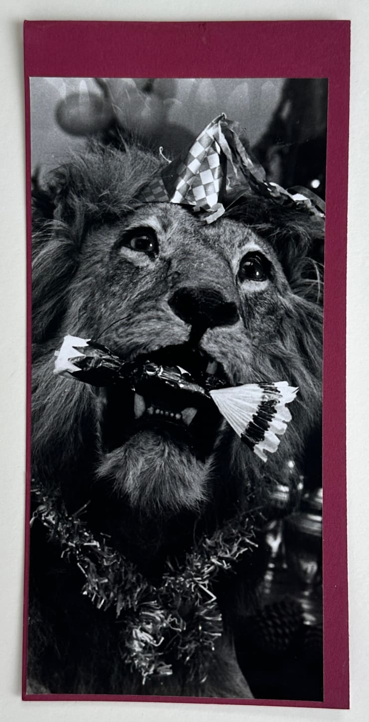 Wolfgang Suschitzky, A Christmas Lion (Kingdom of The Beasts) , 1956