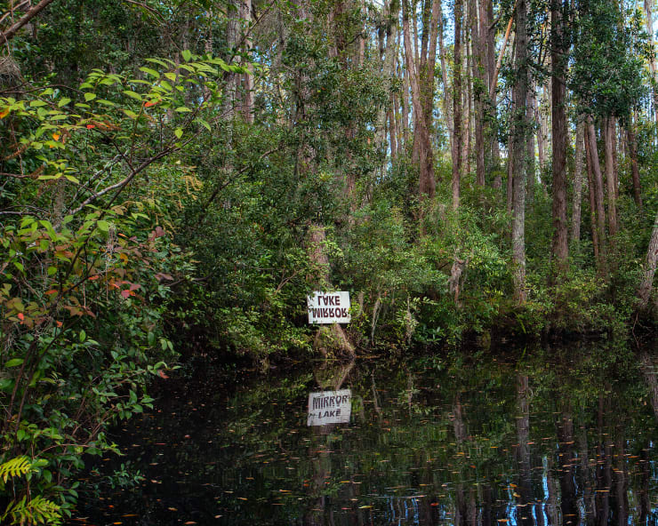 Anna Fox & Karen Knorr, Okefenokee Swamp Park, Georgia, 2017